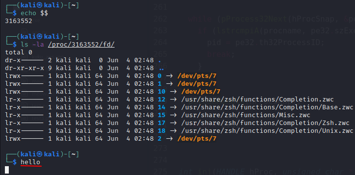 linux reverse tcp shellcode
