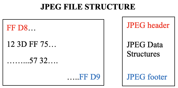 jpeg file structure
